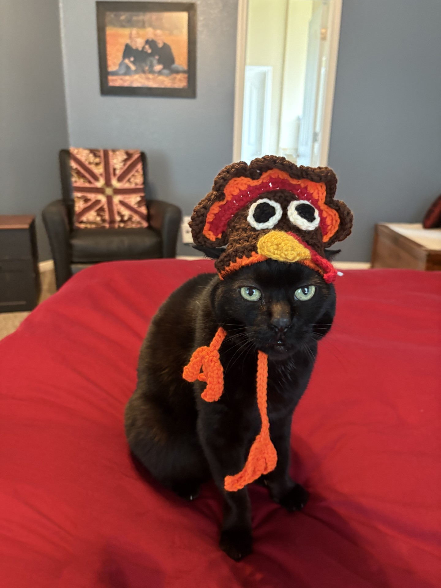 Ronald Turkey — handmade cat hat photo