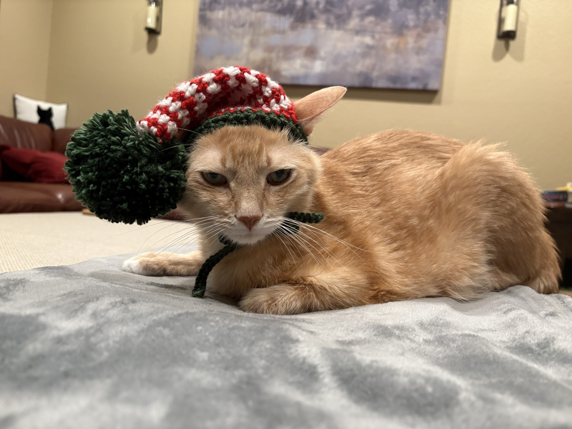 Tiger Elf — handmade cat hat photo
