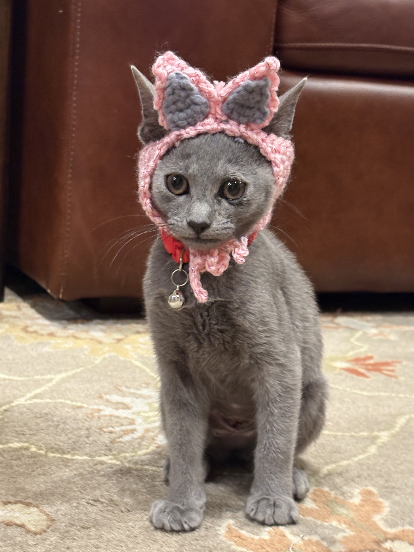 Carbon Pink Hat — handmade cat hat photo