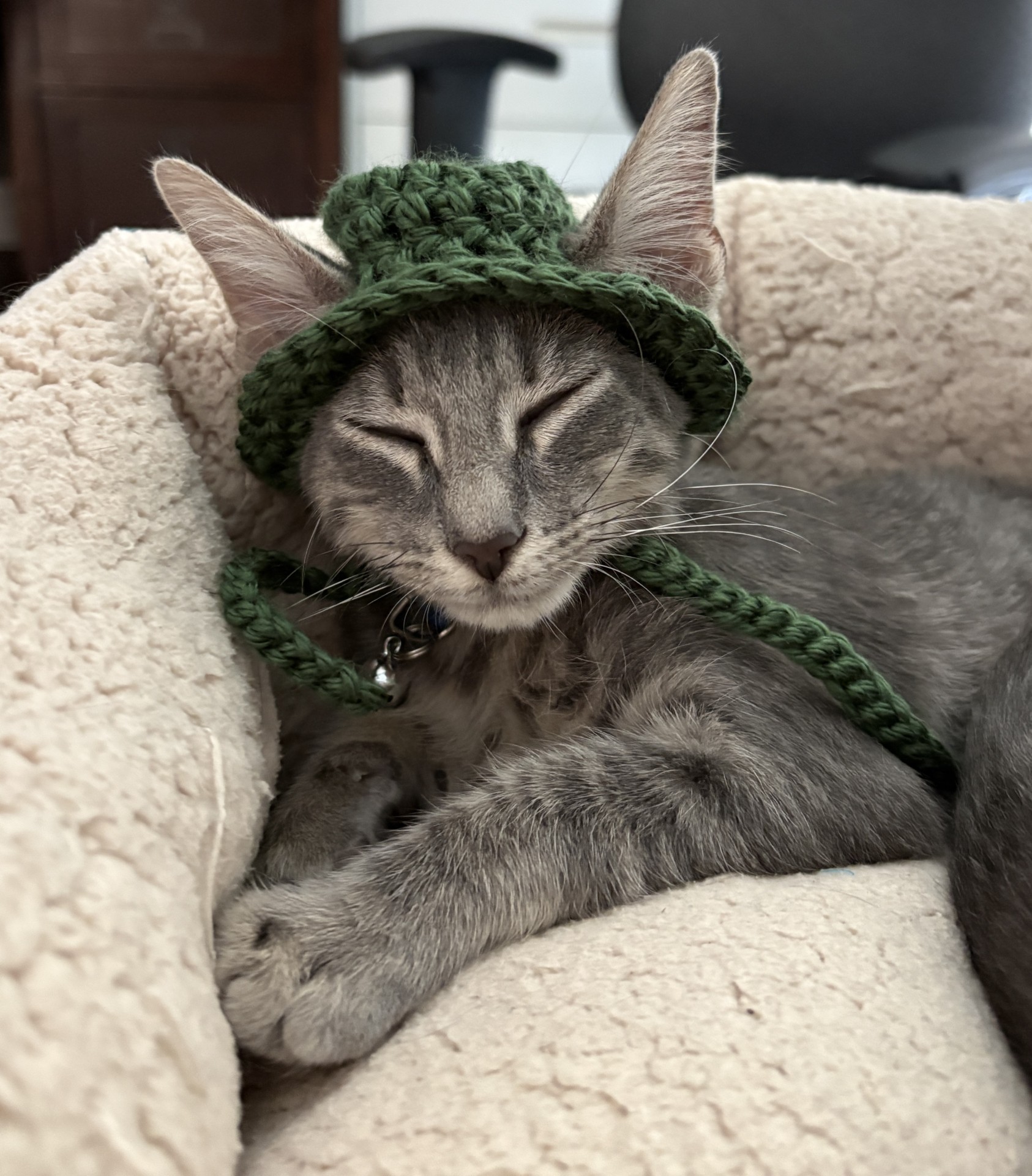 Felix Classic Hat — handmade cat hat photo